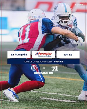 Image post by @mtlalouettes on Instagram