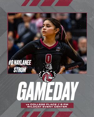 Image post by @thswildcats on Instagram