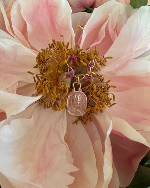 Image post by @highchienergy on Instagram