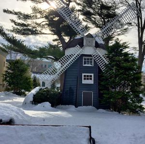 Image post by @hofstrau on Instagram