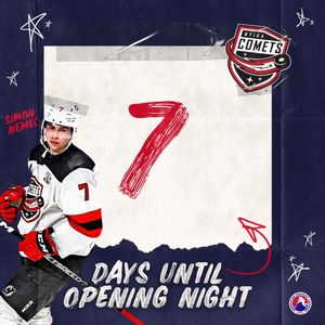 Image post by @theahl on Instagram