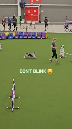 Video post by @YuMOVE.US on Facebook