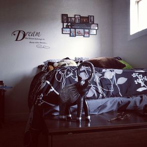 Image post by @allieaurora on Instagram