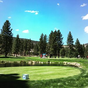 Image post by @barracudachampionship on Instagram