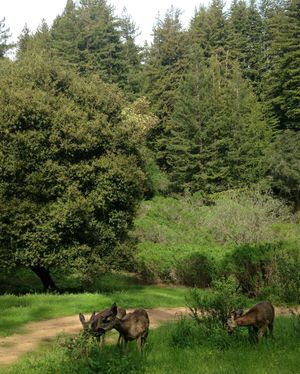 Image post by @ucsc on Instagram