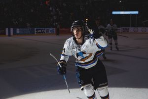 Image post by @sfstampede on Instagram