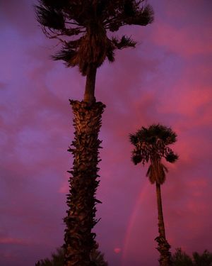 Image post by @rebeccamsphoto on Instagram