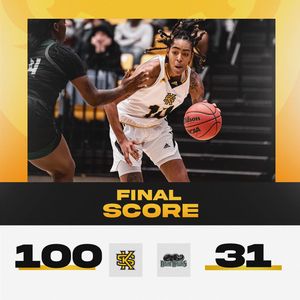 Image post by @ksuowlswbb on Instagram