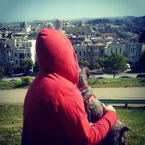 Image post by @onlyinsf on Instagram