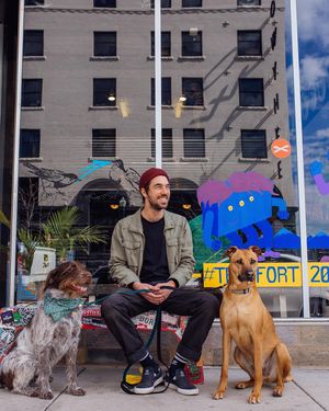 Image post by @treefortfest on Instagram