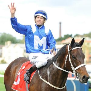 Image post by @australianturfclub on Instagram