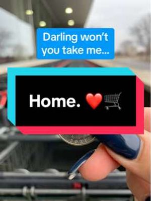 Image post by @aldiusa on TikTok