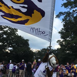 Image post by @lsumiketiger on Instagram