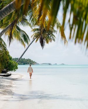 Image post by @comohotels on Instagram