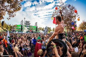 Image post by @beyondwland on Instagram