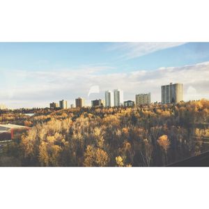 Image post by @glenroy on Instagram