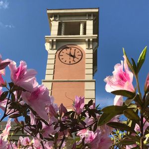 Image post by @uofsouthalabama on Instagram