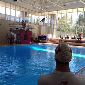 Image post by @utahswimdive on Instagram