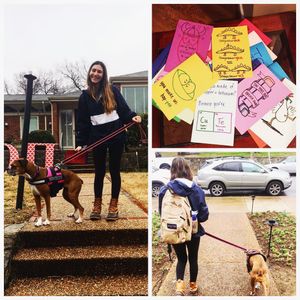 Image post by @vandyadpi on Instagram