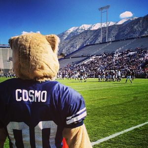 Image post by @cosmo_cougar on Instagram