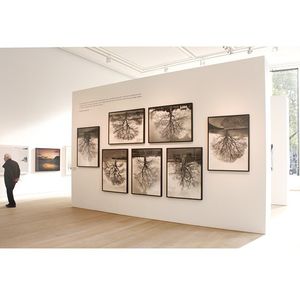 Image post by @phillipsauction on Instagram