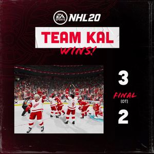 Image post by @detroitredwings on Instagram