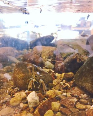 Image post by @denisonu on Instagram