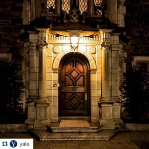 Image post by @yalevolleyball on Instagram