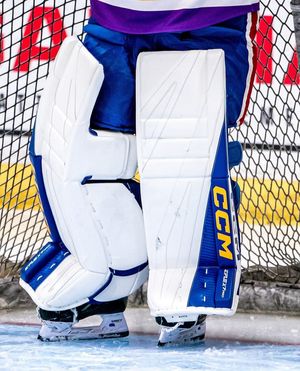 Image post by @goaliegearnerd on Instagram