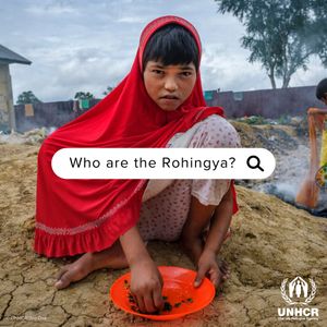 Image post by @unitednations on Instagram