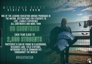 Image post by @msu_gymnastics on Instagram