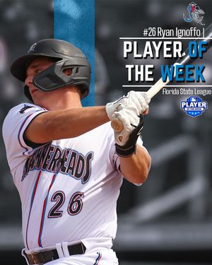 Image post by @gohammerheads on Instagram