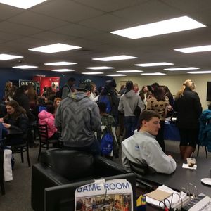 Image post by @hofstrau on Instagram