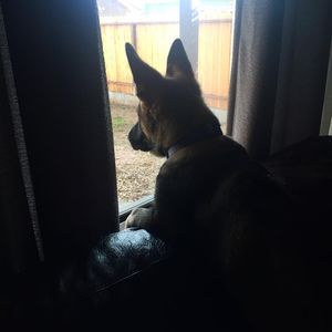 Image post by @rememberthe1 on Instagram