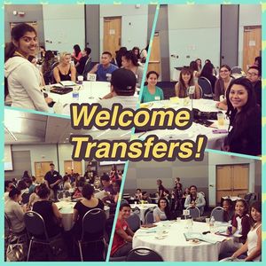 Image post by @mycalstatela on Instagram