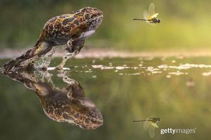 Image post by @gettyimages on Instagram