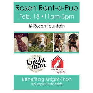 Image post by @rosencollege on Instagram