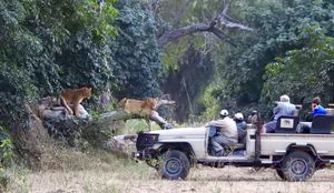 Image post by @chiawasafaris on Instagram
