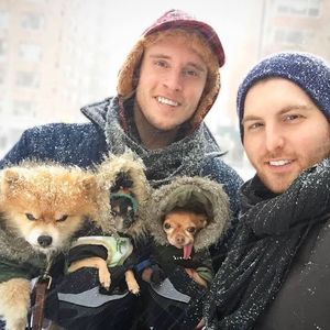 Image post by @animalplanet on Instagram