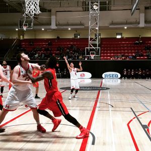 Image post by @mcgillathletics on Instagram