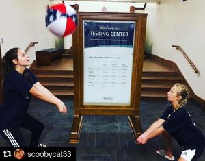 Image post by @byuwvolleyball on Instagram
