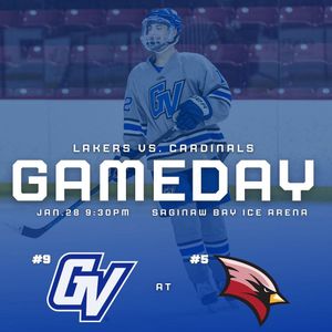 Image post by @gvsu_d3hockey on Instagram