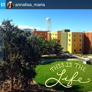 Image post by @ucdavishousing on Instagram