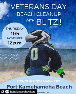 Image post by @blitztheseahawk on Instagram