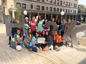 Image post by @pitt_pdm on Instagram