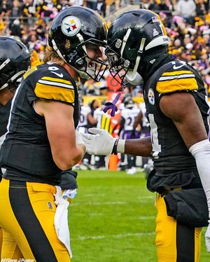 Image post by @steelers on Instagram