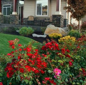 Image post by @alderwoodlandscaping on Instagram