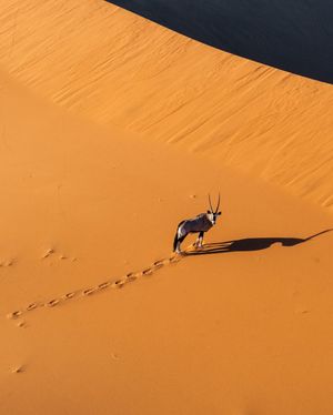 Image post by @natgeo on Instagram