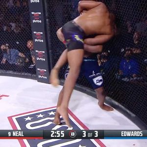 Image post by @bellatormma on Instagram