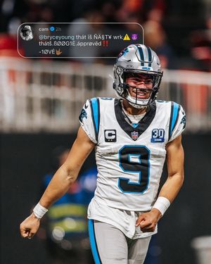 Image post by @panthers on Instagram
